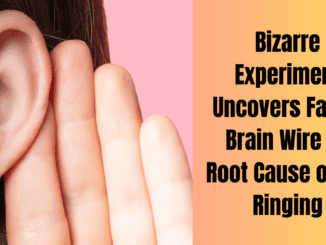 Bizarre Experiment Uncovers Faulty Brain Wire as Root Cause of Ear Ringing